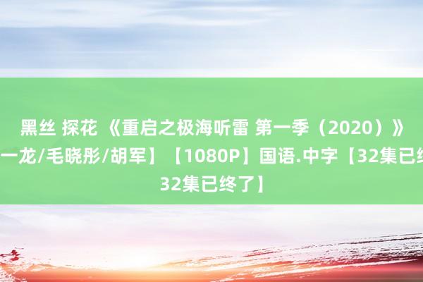 黑丝 探花 《重启之极海听雷 第一季（2020）》【朱一龙/毛晓彤/胡军】【1080P】国语.中字【32集已终了】