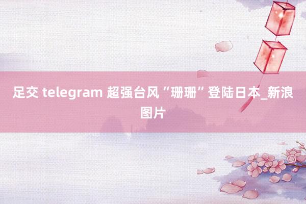 足交 telegram 超强台风“珊珊”登陆日本_新浪图片