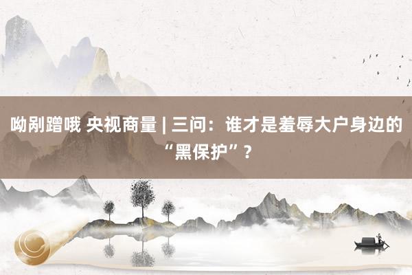 呦剐蹭哦 央视商量 | 三问：谁才是羞辱大户身边的“黑保护”？